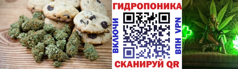 Купить закладки  Новотитаровская  Еда ТГК марихуана 