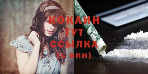 spice Алексин
